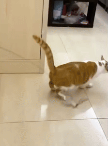 Bird Simulation Cat Toy 3