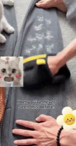 Pet Hair Removal Tool 2