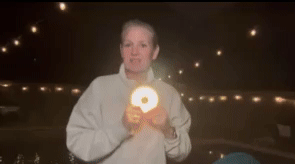 LED Camping String Lights 2