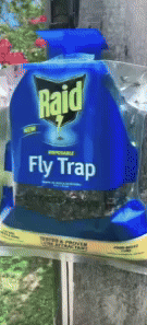 Disposable Hanging Fly Trap 2