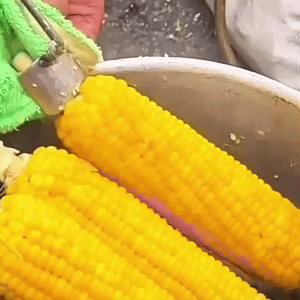 Corn Planer Stainless Steel 3