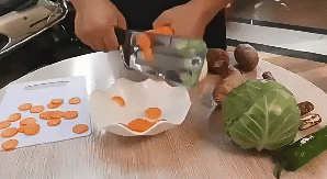 Stainless Steel Shredder 3