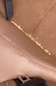 Handheld Vacuum Cleaner 3