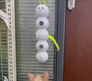 Cat Toy with Worm Design 2