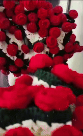 Rose Bouquet Blanket 2