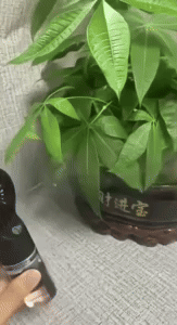 Mini Handheld Misting Fan 2