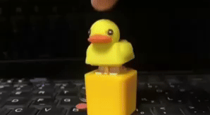 Fidget Toy That Quacks 3