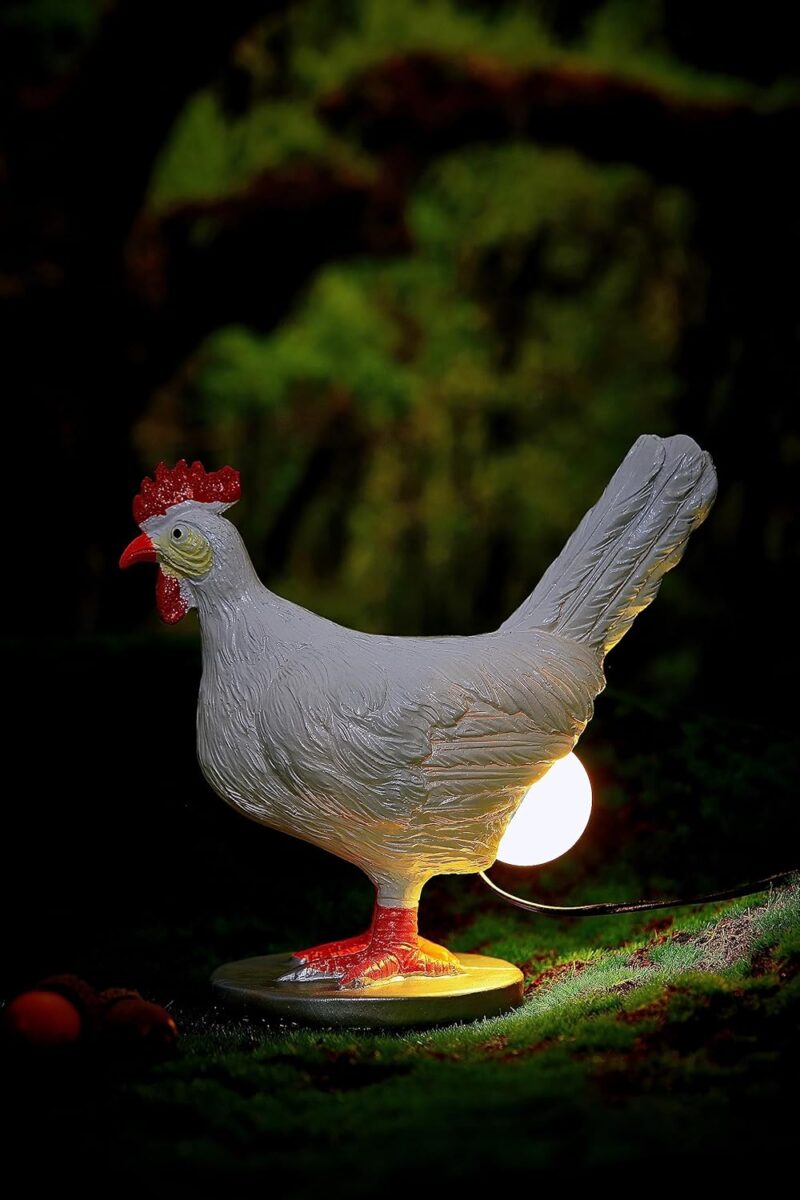 Chicken Egg Lamp 2