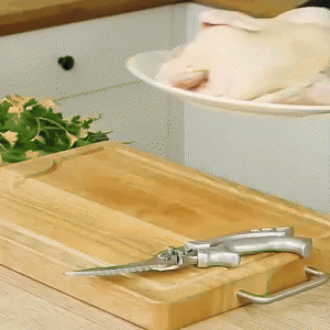 Stainless Steel Bone-Cut Scissors 2