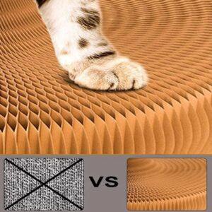 MAGIC ORGAN CAT SCRATCHING BOARD 3