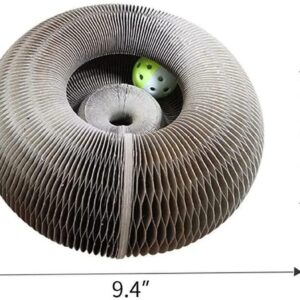 MAGIC ORGAN CAT SCRATCHING BOARD 4