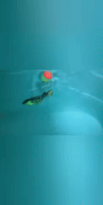 Fishing Bait Electric Lures 2