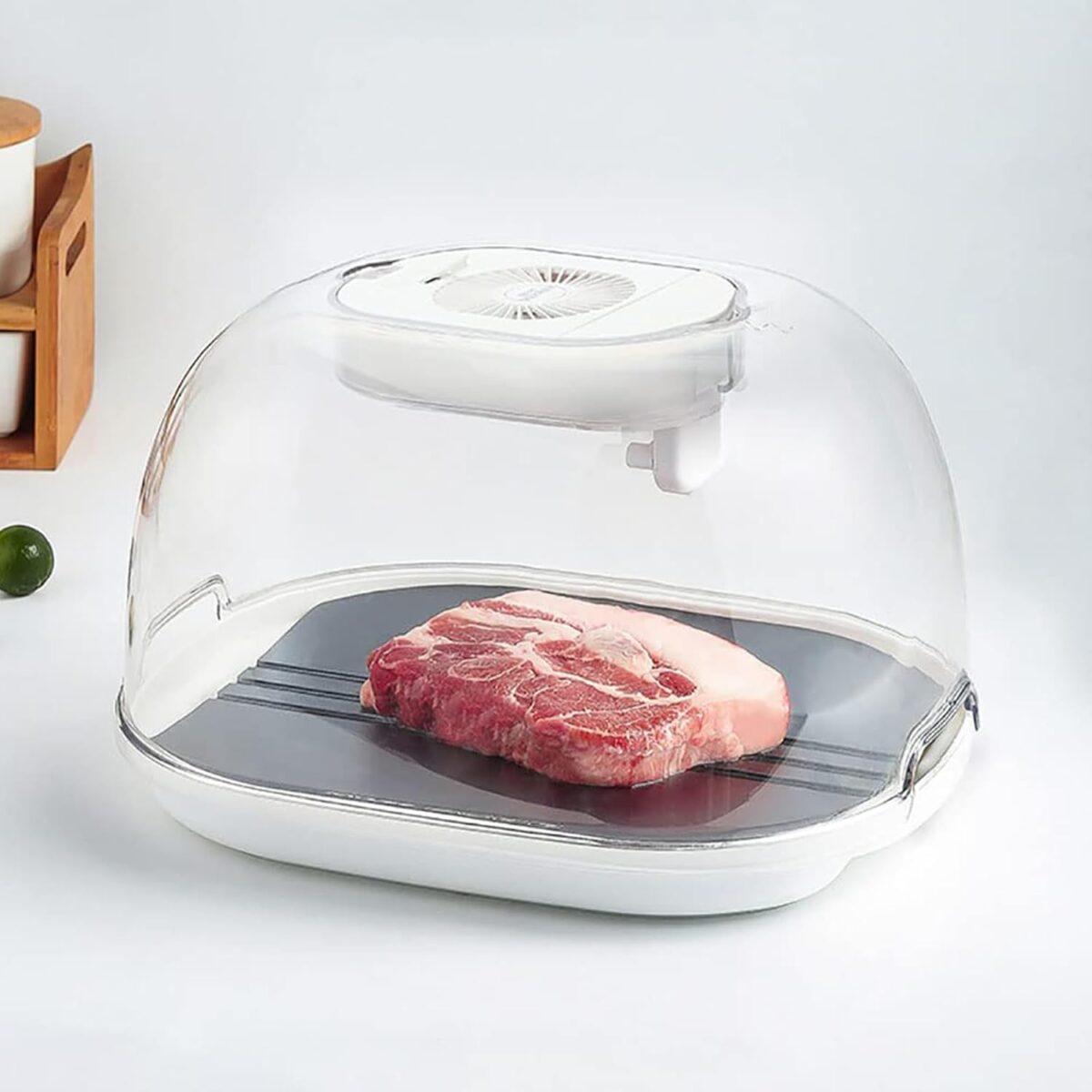 Food Preservation Defroster 2