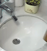 Seed Meal Fertilizer for Plants 3