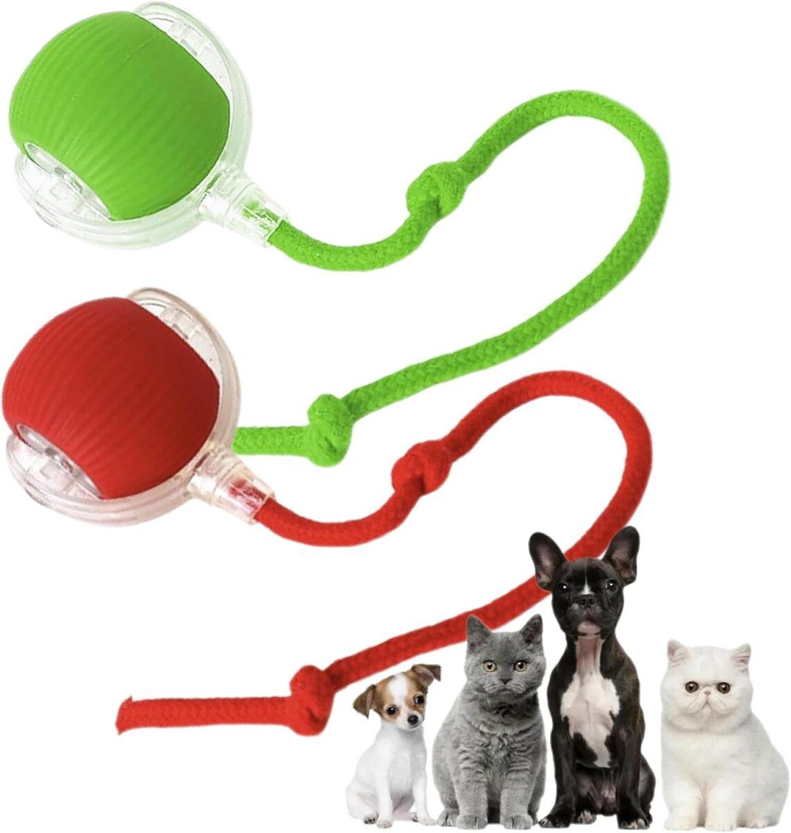 Interactive Cat Toy 2