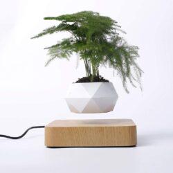 Levitating Plant Pot 2