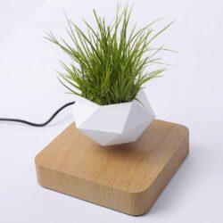 Levitating Plant Pot 3