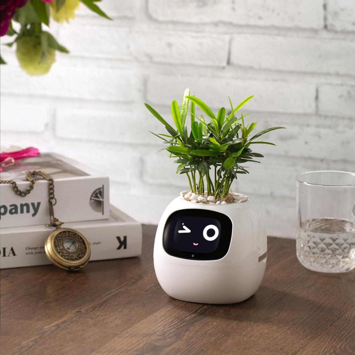 Smart pet Planter Robot 2