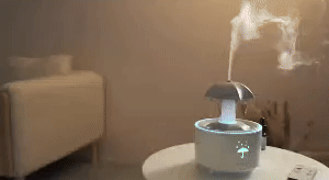 Umbrella Humidifier 3