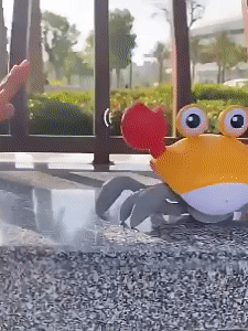 Sensing Crawling Crab Baby Toys