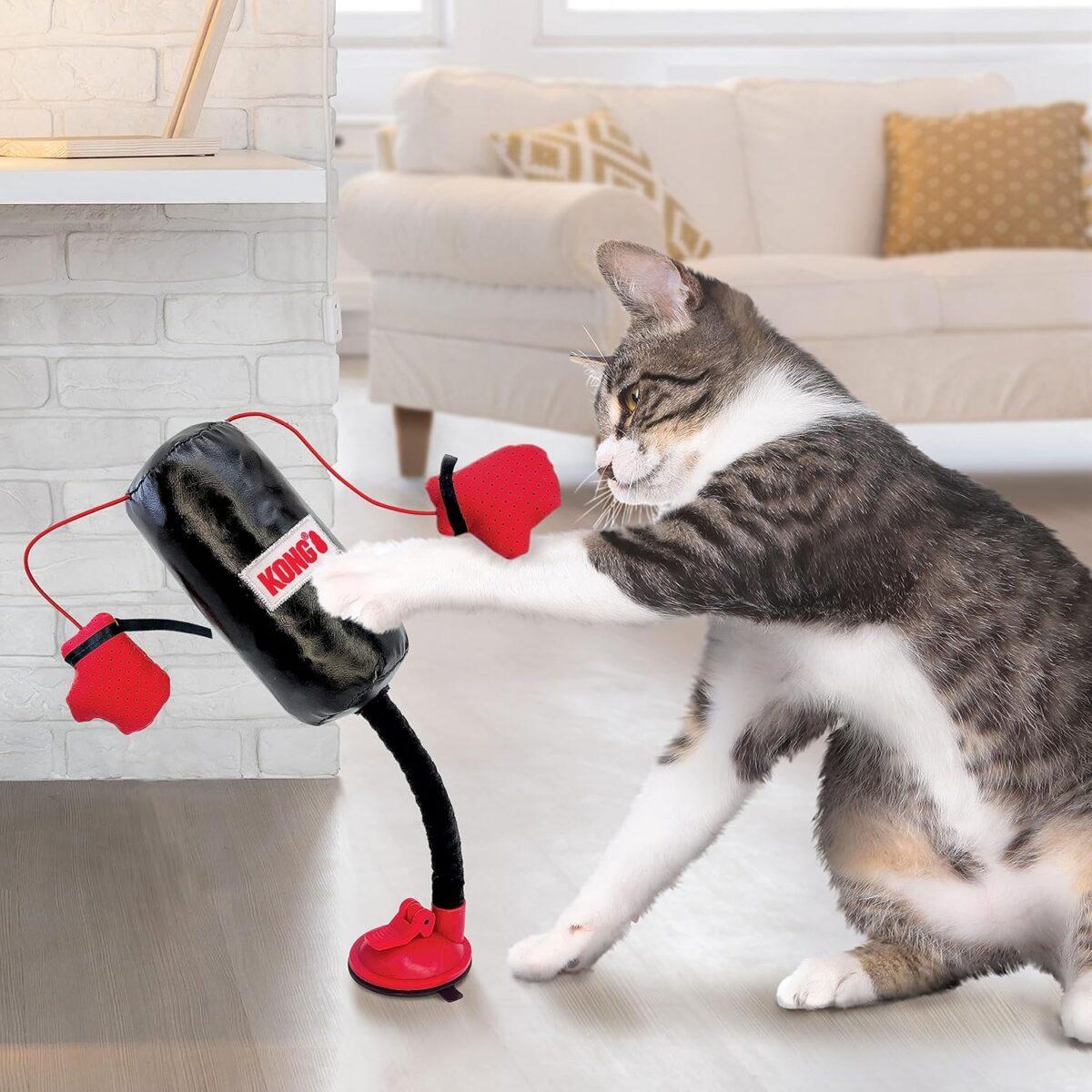 Cat Punching Bag Toy 2