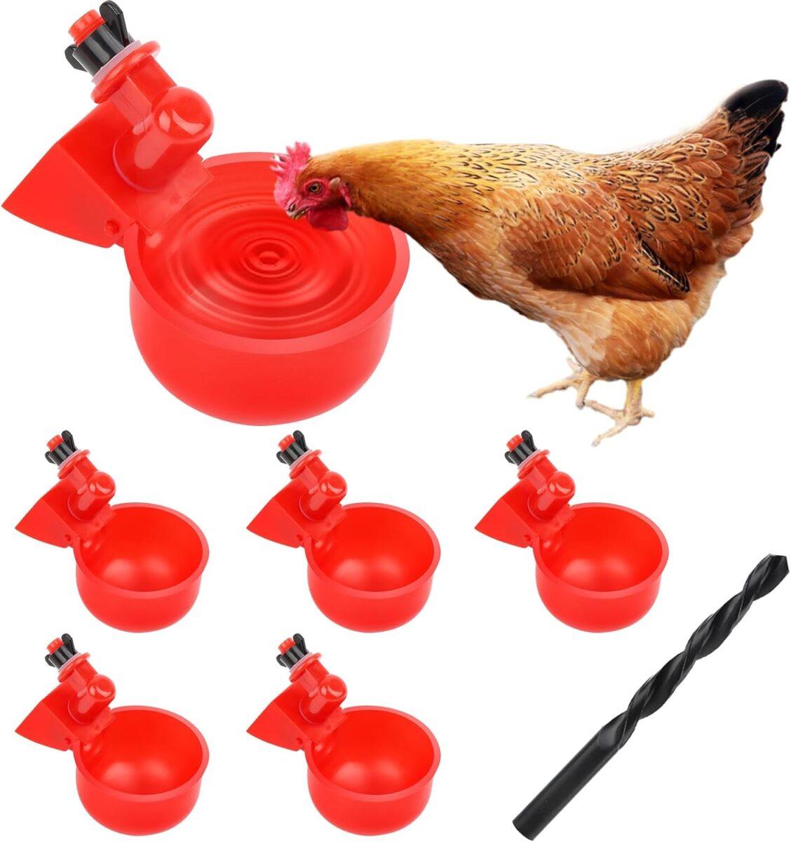 Chickens Waterer 2