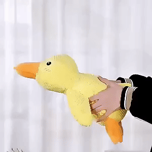 Duck Dog Toy 2