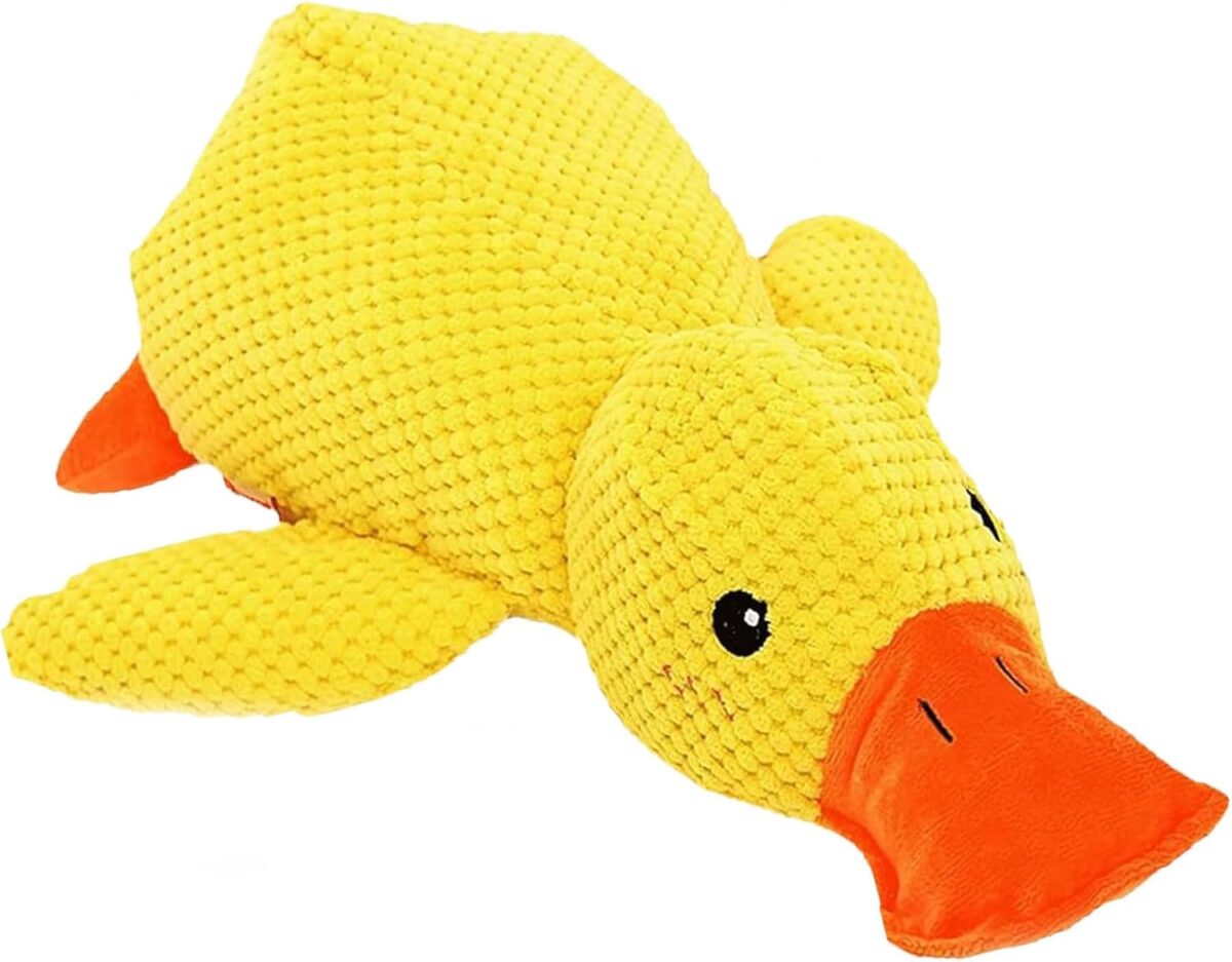 Duck Dog Toy 3