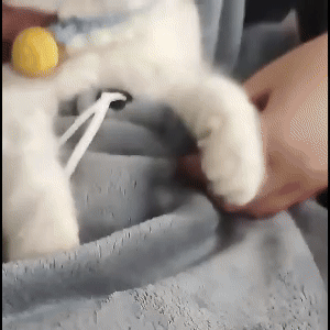 Cat Carrier Apron with Sleeping 3