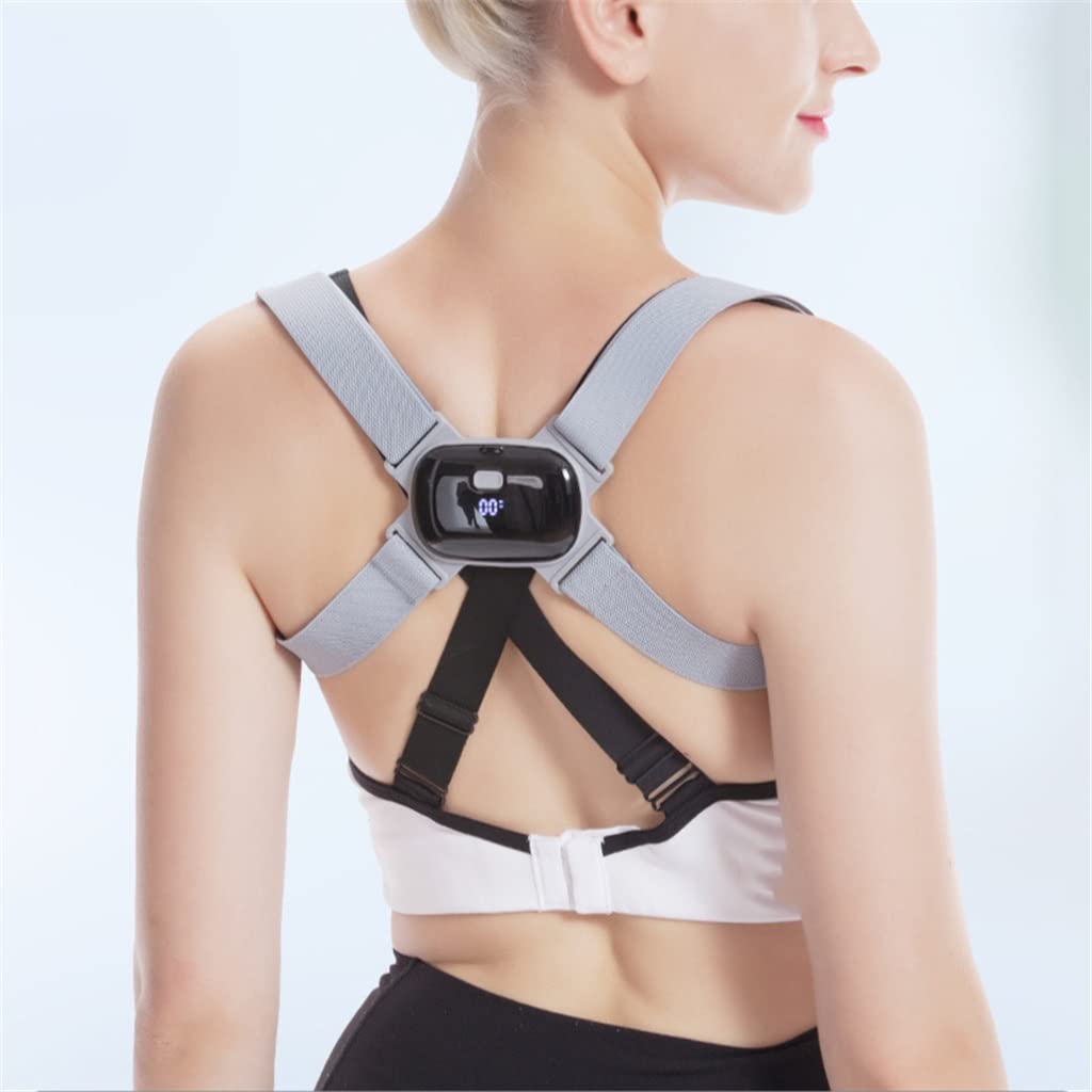 Cute Shark Slippers 2