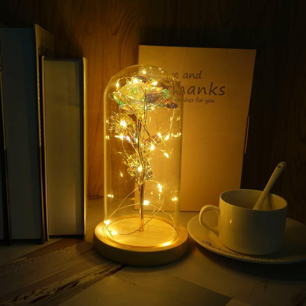 GALAXY ROSE FLOWER DOME 2