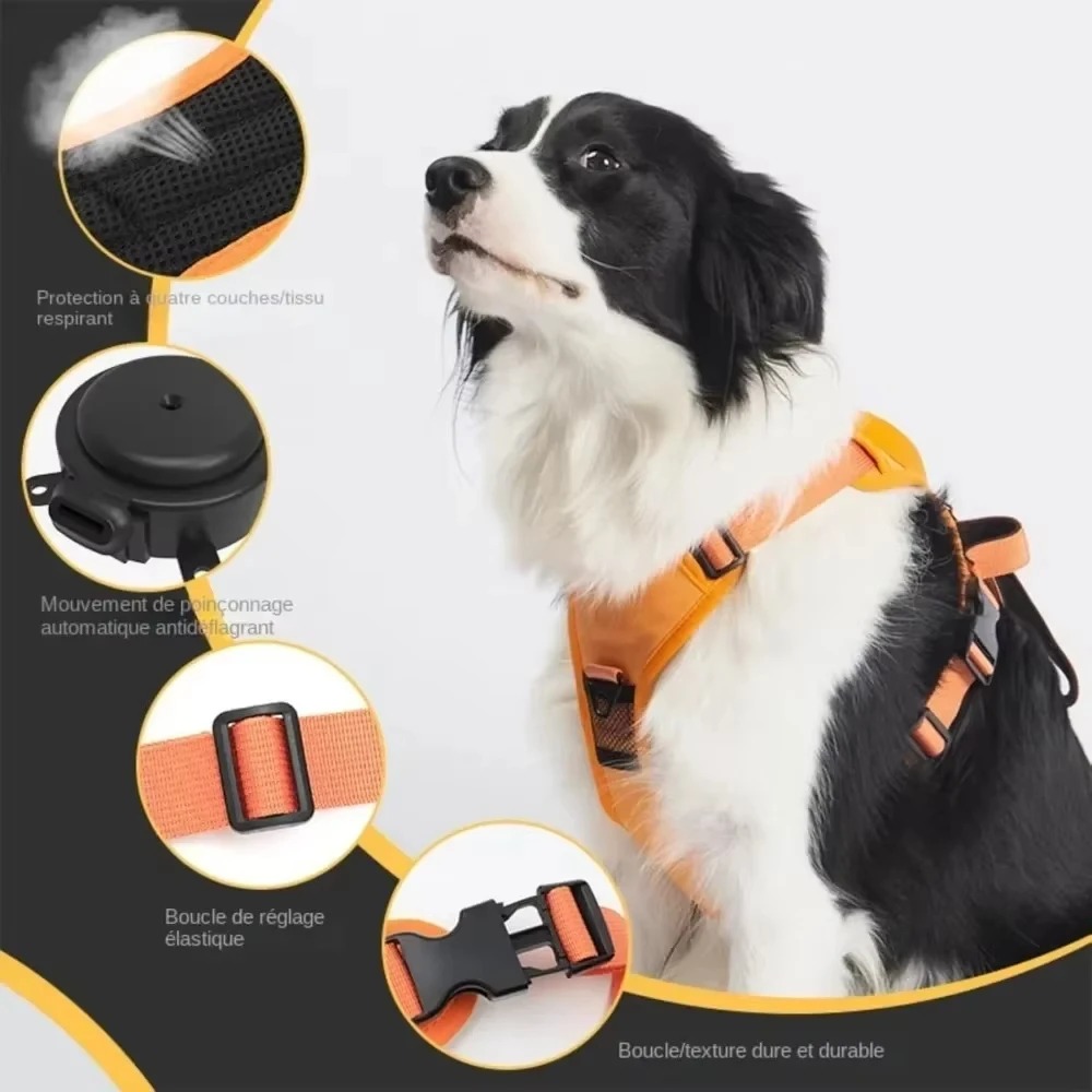 No-Pull Adjustable Dog Harness with Leash 2