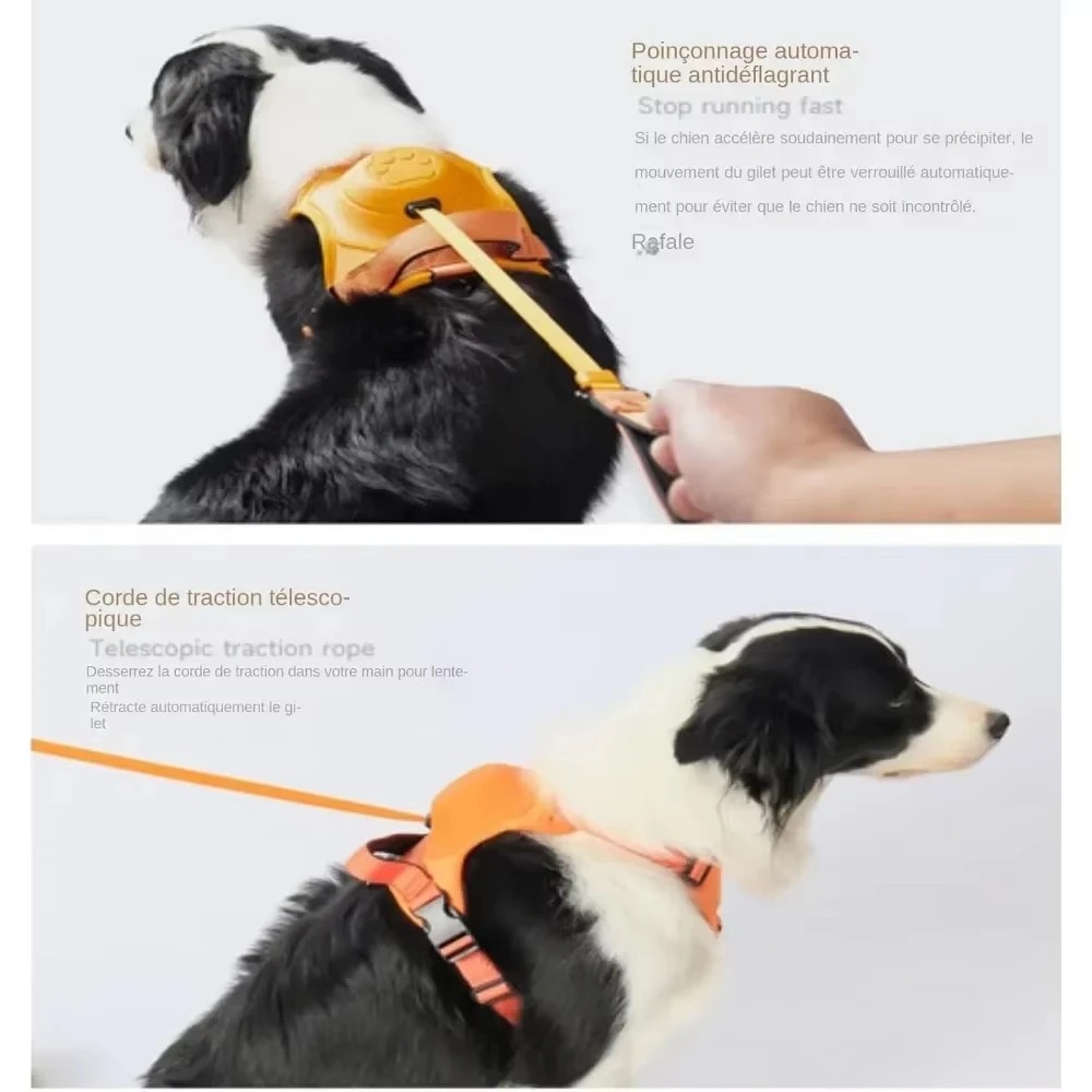 No-Pull Adjustable Dog Harness with Leash 3