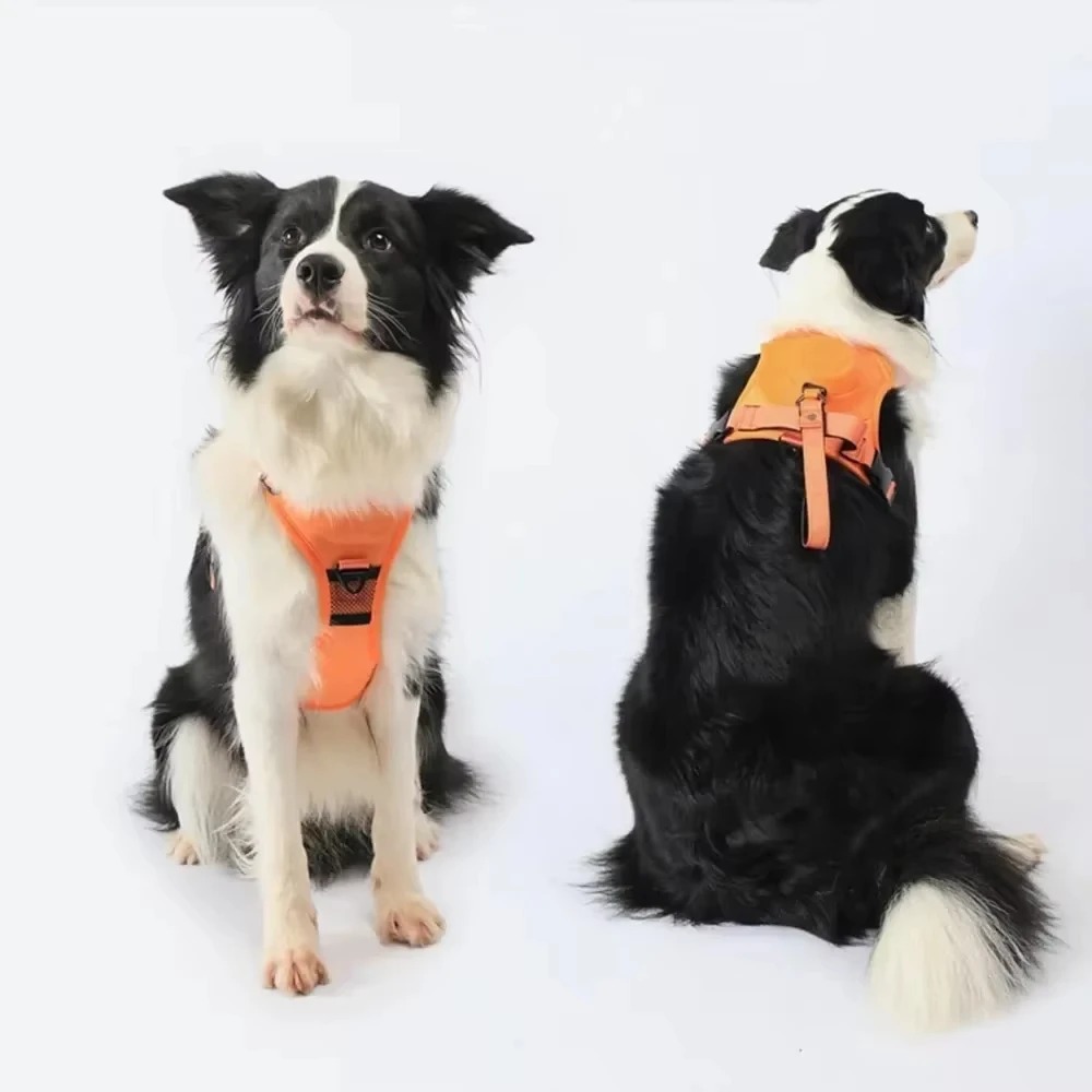 No-Pull Adjustable Dog Harness with Leash 5