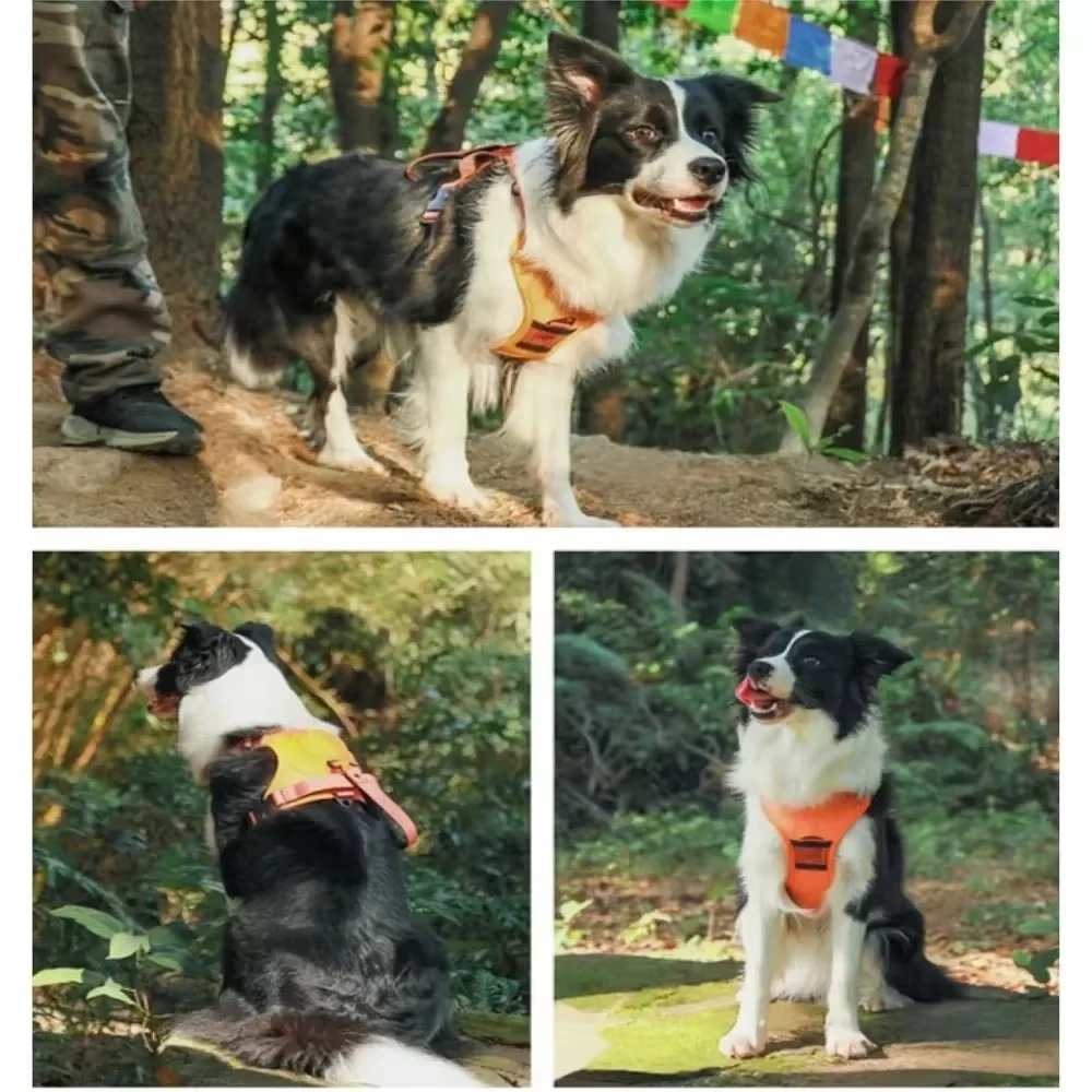 No-Pull Adjustable Dog Harness with Leash 6