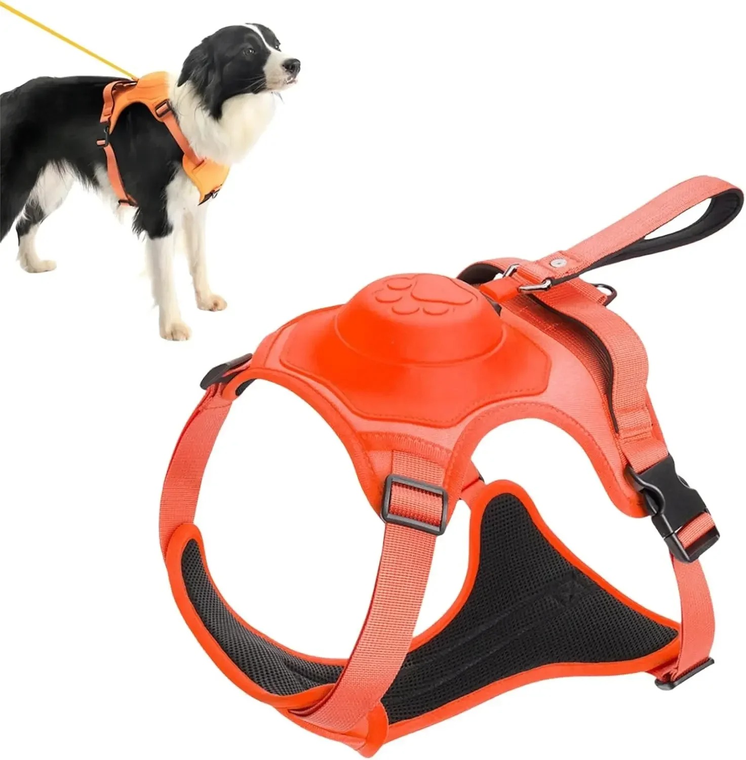 No-Pull Adjustable Dog Harness with Leash 7