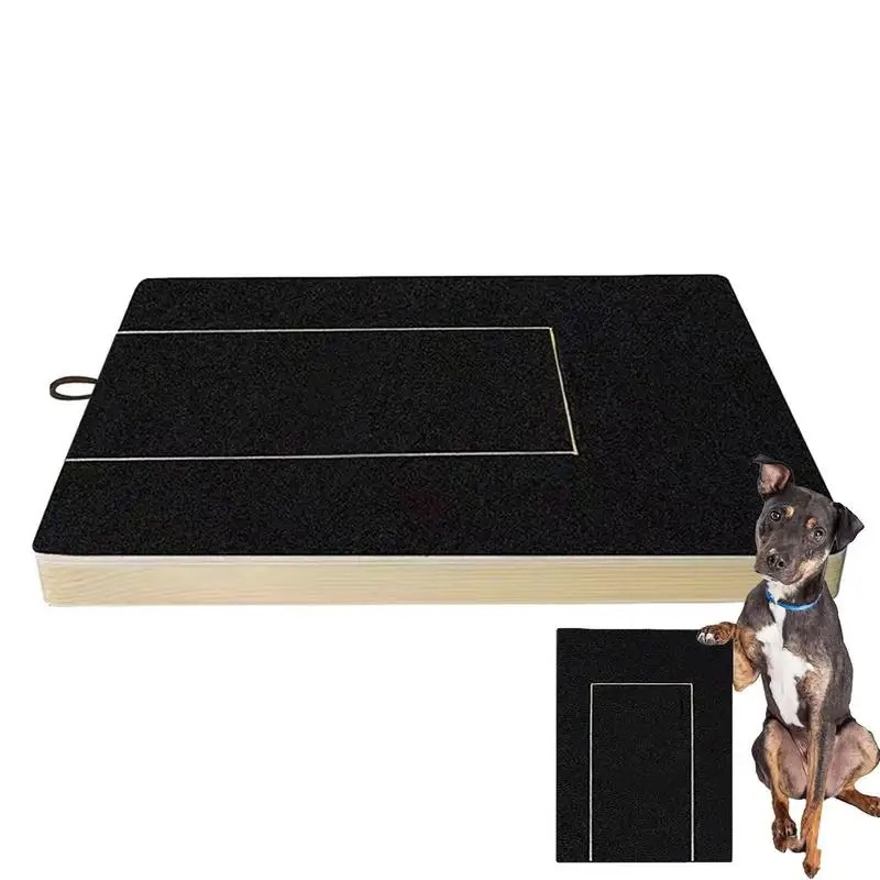 Dog Nail Scratch Board with Treat Box 3