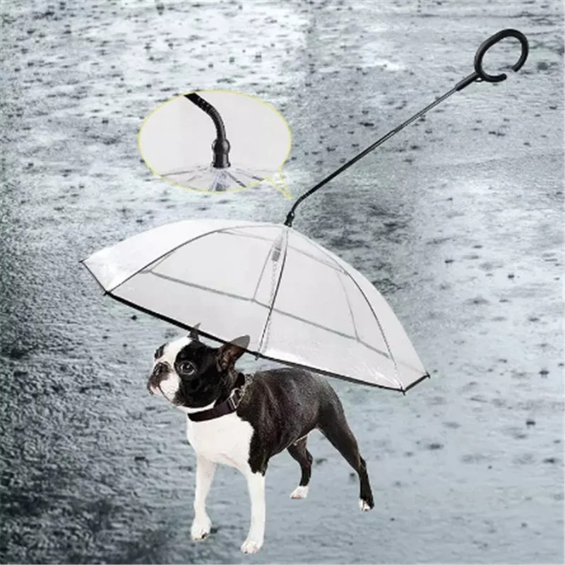 PawShield Transparent Dog Umbrella Leash 2