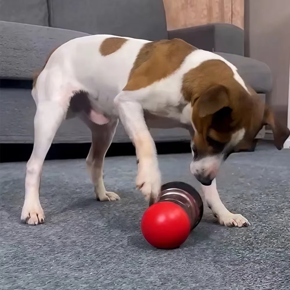Interactive Treat Dispensing Dog Toy 3