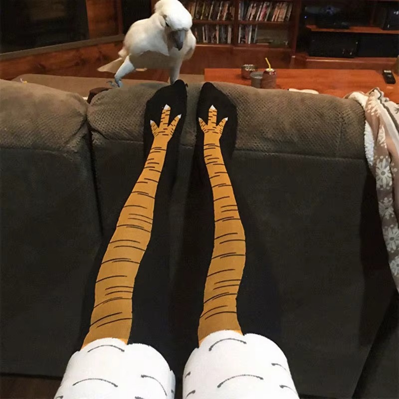 Chicken Leg Thigh High Socks 2